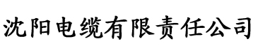 少年阿兵的幸福生活第69集电缆厂logo